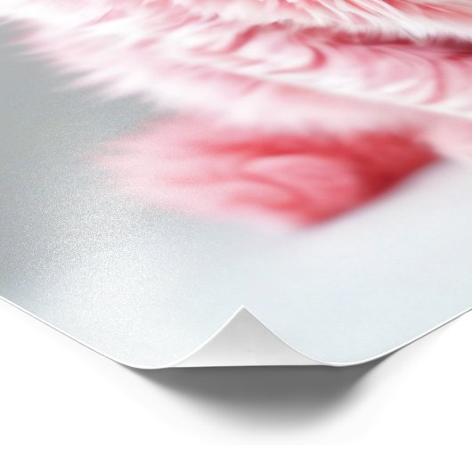 Impression Photo Chat rose (Coin)