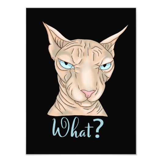 Impression Photo Chat Sphynx. Quoi ? (Devant)