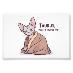 Impression Photo Chat Sphynx Taureau Attitude Calme Art Zodiaque