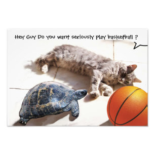 IMPRESSION PHOTO CHAT, TORTUE ET BASKETBALL