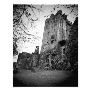 Impression Photo Château de Blarney