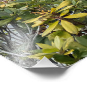 Impression Photo Château historique de Scotney Kent Angleterre (Coin)