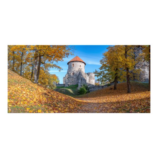 Impression Photo Château médiéval entouré de forêt (Devant)
