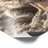 Impression Photo Châteaux De Sable De Construction De Machines À So (Coin)