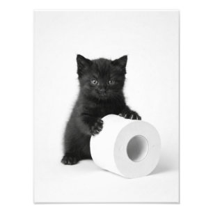 Impression Photo Chaton noir bébé gardant un rouleau de papier toil