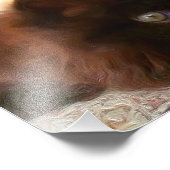 Impression Photo Chaton perse noir (Coin)