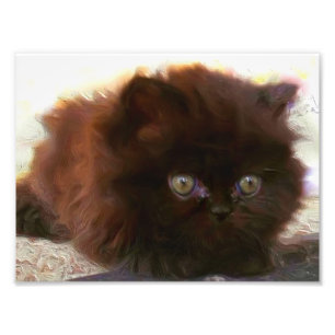 Impression Photo Chaton perse noir
