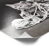 Impression Photo Chatons bloqués dans le fil (Coin)