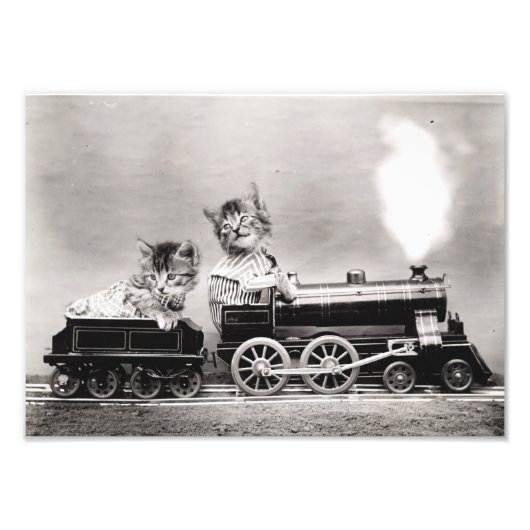 Impression Photo Chatons dans un train (Devant)