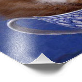 Impression Photo chats (Coin)