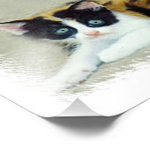 Impression Photo Chats amusants (Coin)