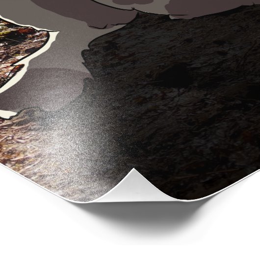 Impression Photo Chats dans les bois de l'Oregon (Coin)