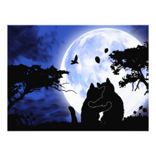 Impression Photo chats pleine lune