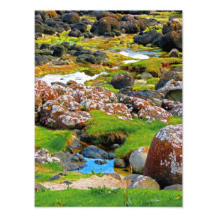 Impression Photo Chaussée géante - Vue 2