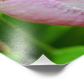 Impression Photo Chaussure rose pâle Fleur d'orchidée Gros plan 8x8 (Coin)