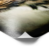 Impression Photo Cheetah (Coin)