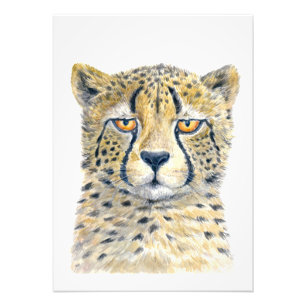 Impression Photo Cheetah