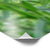 Impression Photo Cheetah20150904 (Coin)