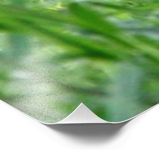 Impression Photo Cheetah20150904 (Coin)