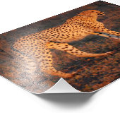 Impression Photo Cheetah Afrique du Sud au coucher du soleil (Coin)