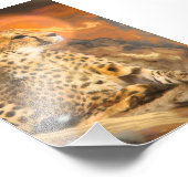 IMPRESSION PHOTO CHEETAH REPOSANT (Coin)