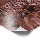 Impression Photo Cheetah Stare (Coin)