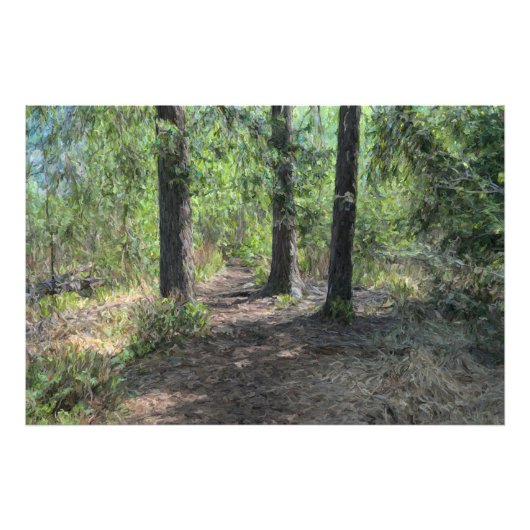Impression Photo Chemin de forêt (Devant)