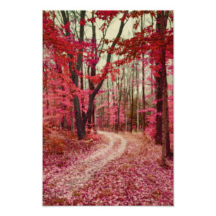 Impression Photo Chemin De Forêt Éthérée Aux Couleurs Rouge