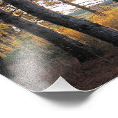 Impression Photo Chemin des pins (Coin)