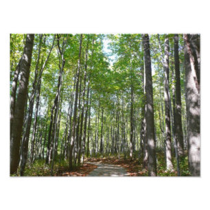 Impression Photo Chemin en bois centenaire II Ellicott City Marylan