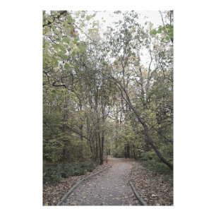 Impression Photo Chemin tranquille de la forêt automnale – Édition