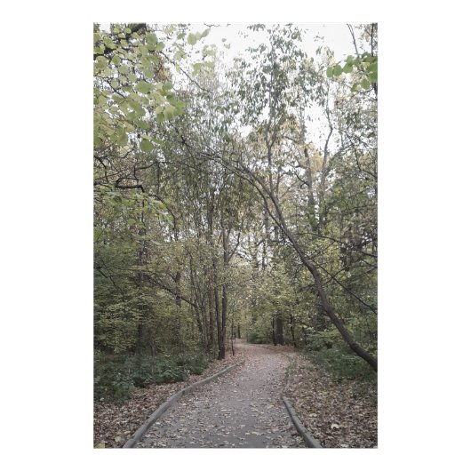 Impression Photo Chemin tranquille de la forêt automnale – Édition (Devant)