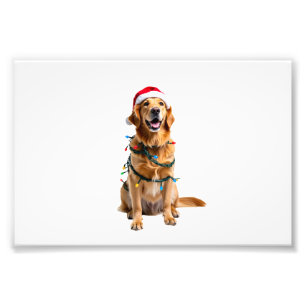 Impression Photo Chemise de Noël pour chien, Pyjama Golden retrieve