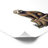 Impression Photo Chemise faune gravure rétro paresseux (3) (Coin)