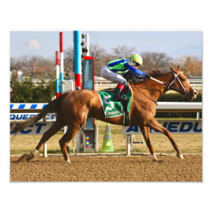 Impression Photo Chêne vertical