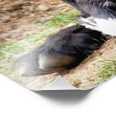 IMPRESSION PHOTO CHÈQUE CUTE (Coin)