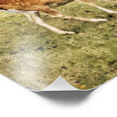 IMPRESSION PHOTO CHÈQUE DE DÉVERSEMENT (Coin)