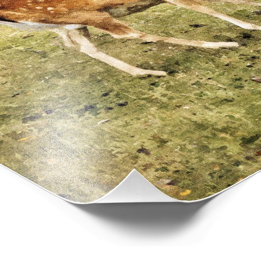 IMPRESSION PHOTO CHÈQUE DE DÉVERSEMENT (Coin)