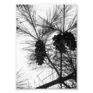 Impression Photo Chercher vers le haut