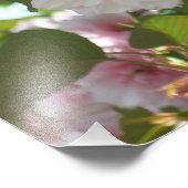 Impression Photo Cherry Tree I Spring Floral (Coin)