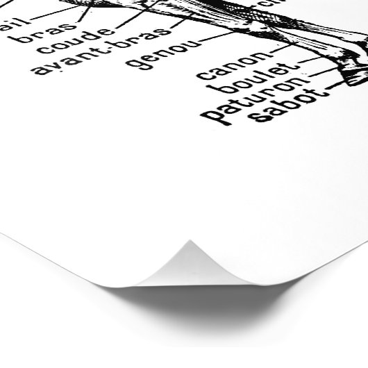 Impression Photo Cheval (Coin)