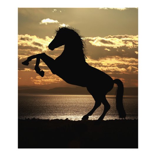Impression Photo cheval (Devant)
