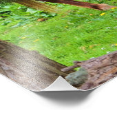 Impression photo Cheval (Coin)