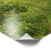 Impression Photo Cheval (Coin)