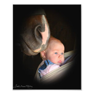 Impression Photo Cheval aime Baby