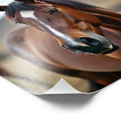 Impression Photo cheval américain (Coin)