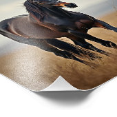 Impression Photo cheval américain (Coin)