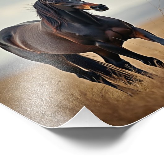 Impression Photo cheval américain (Coin)