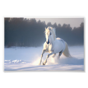 Impression Photo Cheval blanc en Neige, Chevaux, hiver