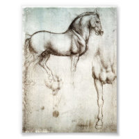 Cheval Da Vinci